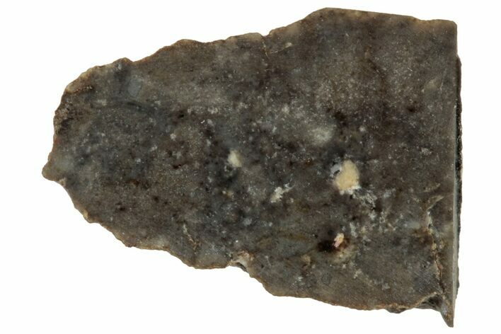 Lunar Meteorite ( g) Section - NWA #312866